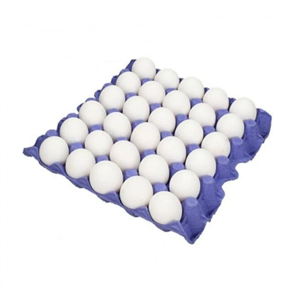بيض طازج